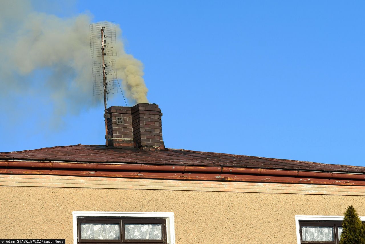 Ekogroszek to ekościema? Naukowiec: Jestem przerażony, czym palimy