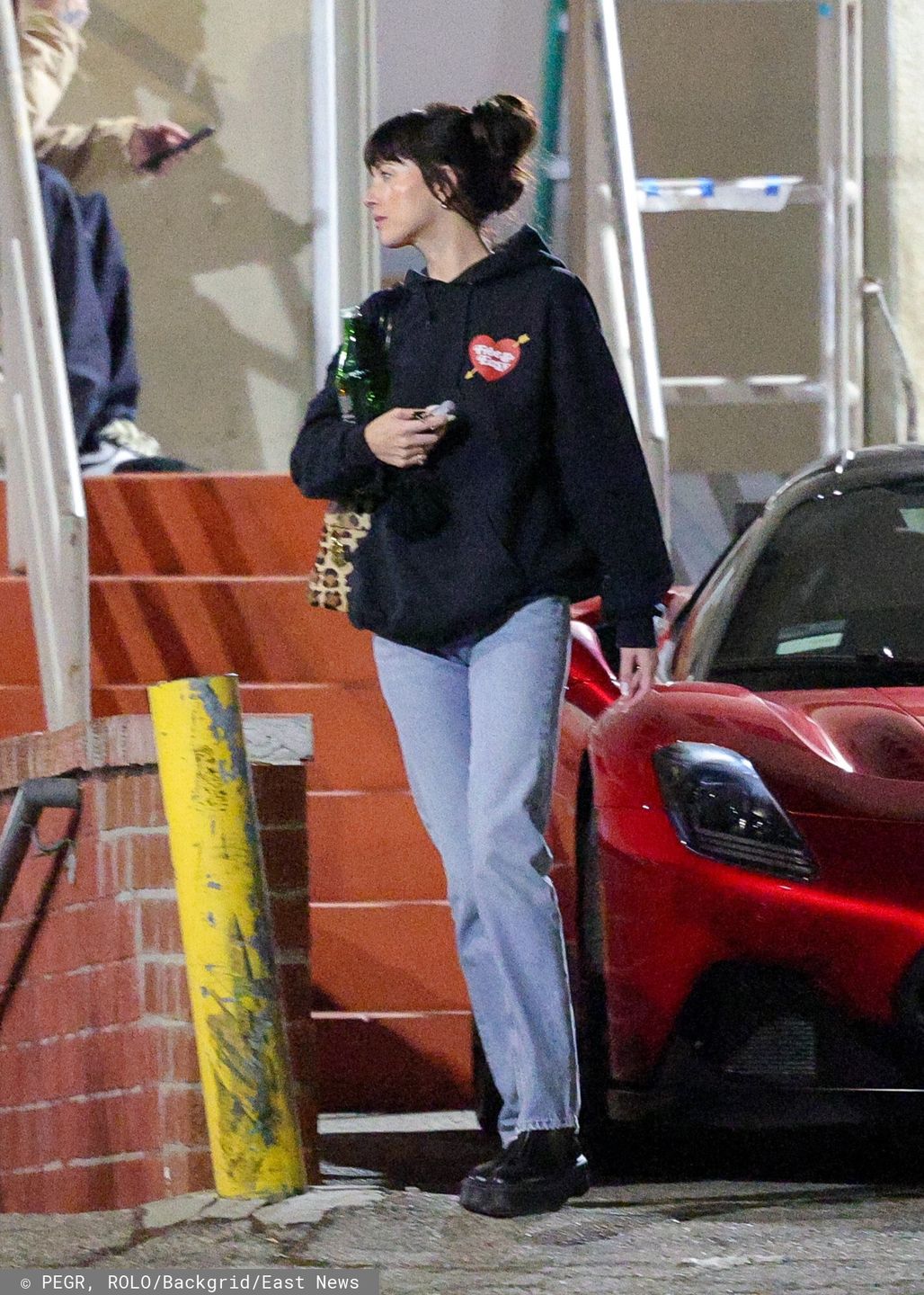 Dakota Johnson 