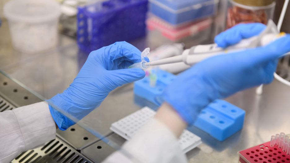 Koronawirus w Polsce. Najnowsze dane z Ministerstwa Zdrowia