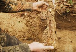 Historyczne znalezisko w lesie w Małopolsce. Zakopali je partyzanci