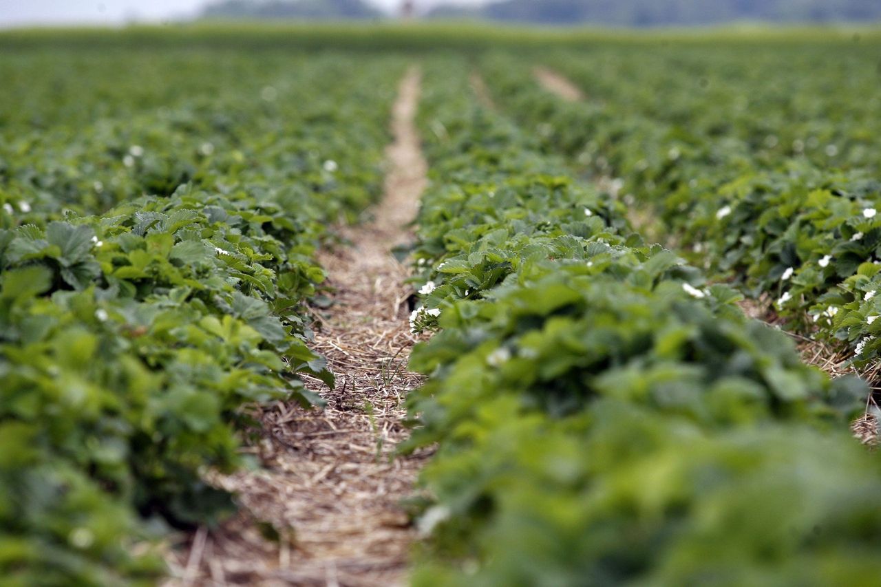 Dopłaty 65% zostają. Ale ten jeden błąd w umowie potrafi kosztować