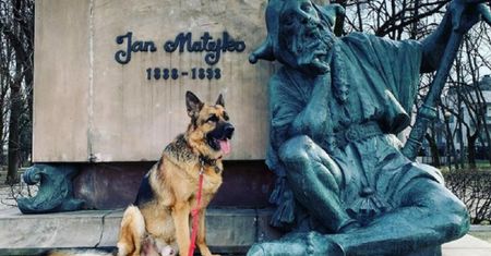 Pies ambasadora Brzezinskiego ma profil na Instagramie i "dziękuje za gościnność"