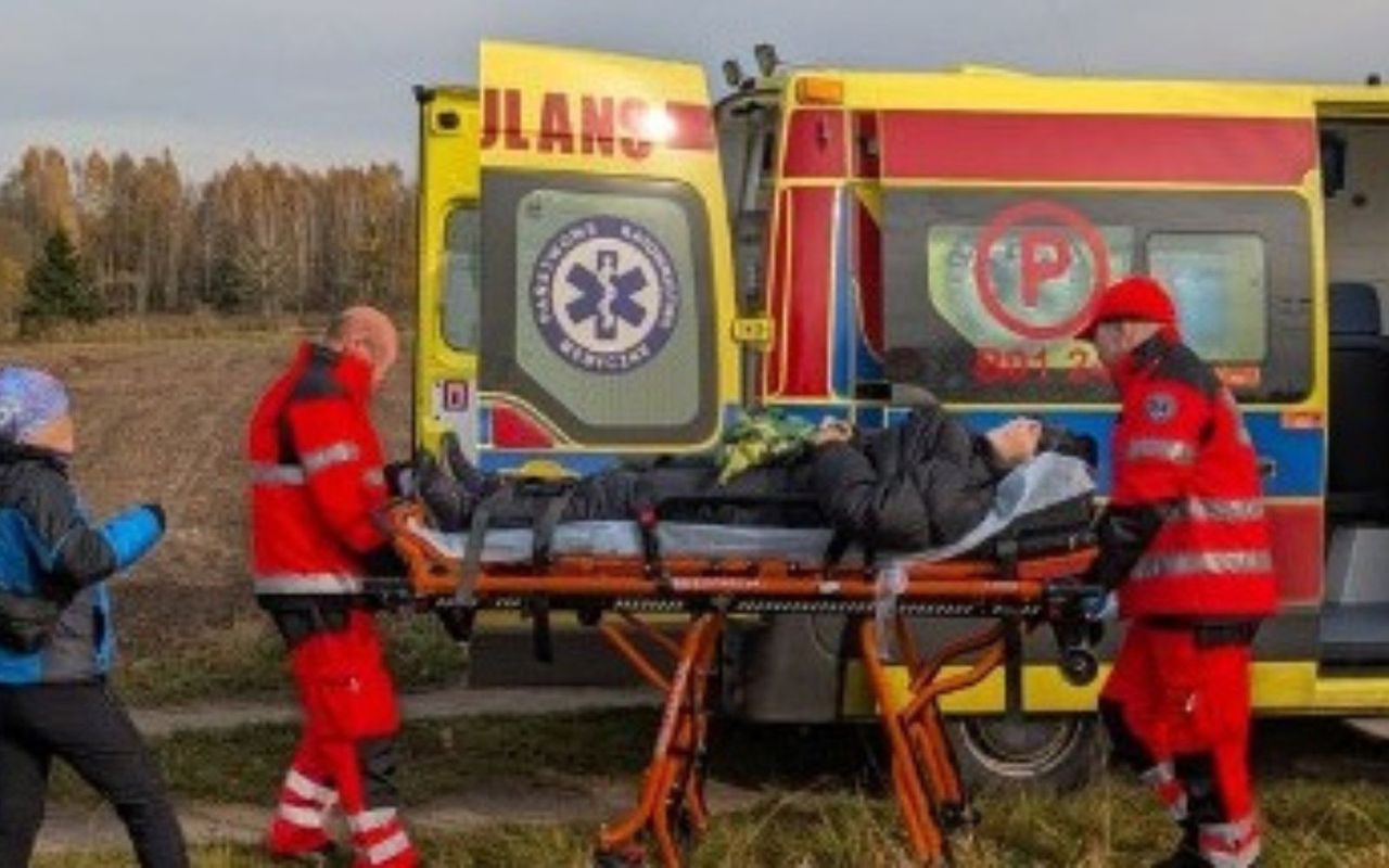 Podeszli za blisko żubra. Oto finał. "Została poturbowana"