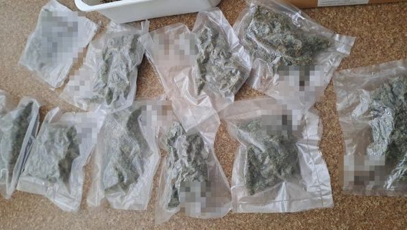 Zlikwidowana uprawa konopi. Mężczyzna w areszcie (zdjęcia)