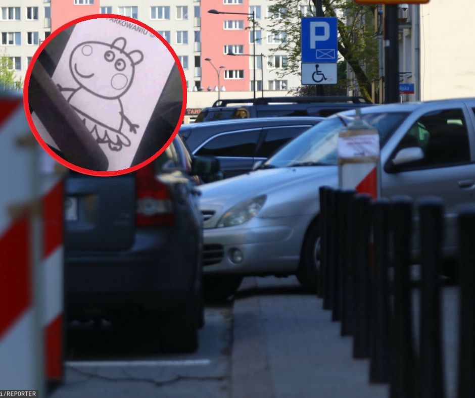 &quot;karna świnka&quot;