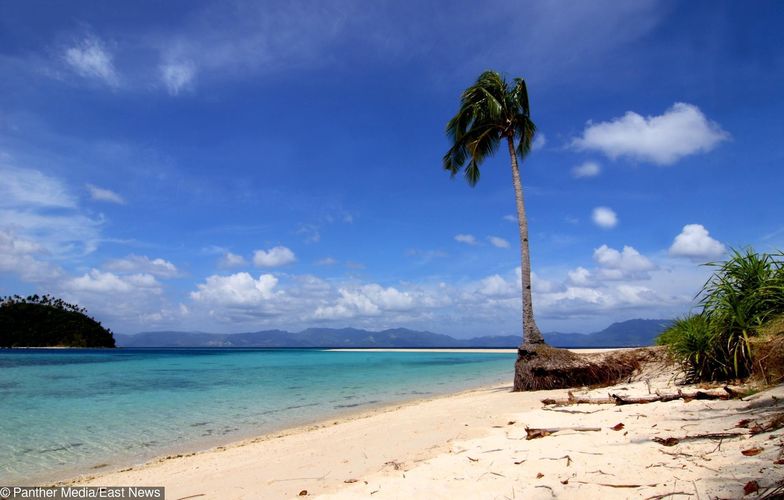 Oszust wyłudzając w Polsce podatek VAT aresztowany na Filipinach