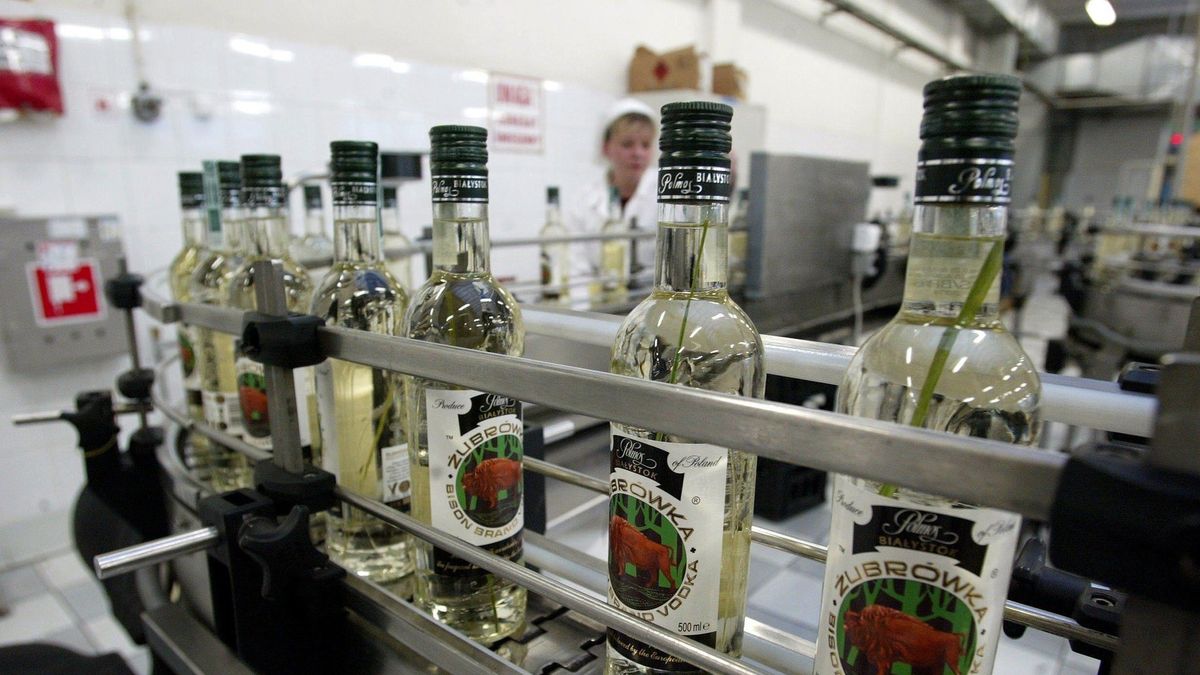 CEDC, producent Żubrówki miał w 2017 r. 5 mld zł przychodów, ale CIT-u nie zapłacił.