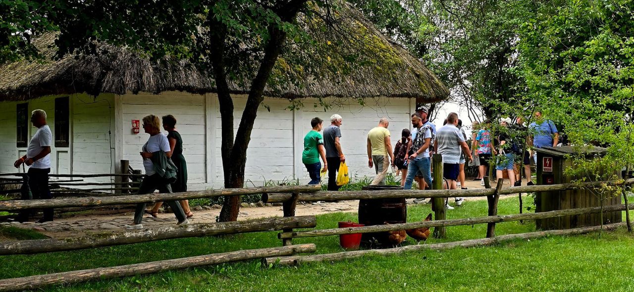 Żniwa