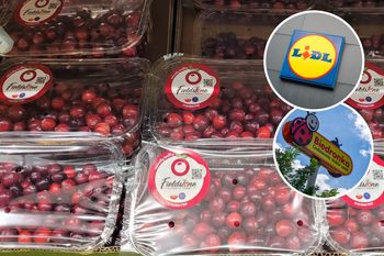 Bogactwo smaku, witamin i przeciwutleniaczy. Jeszcze tylko dziś skorzystasz z promocji