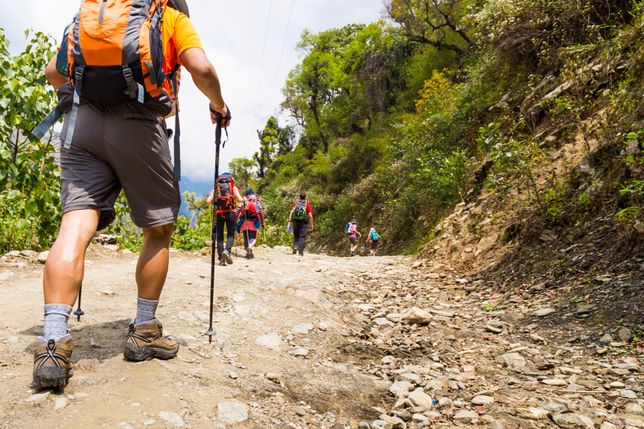 Kijki trekkingowe ułatwią każdą wędrówkę