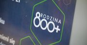 Co z 800 plus na dziecko? Ważne słowa polityka PSL