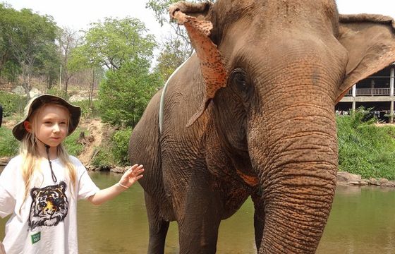 „Nela mała reporterka” od 16 czerwca w TVP Polonia