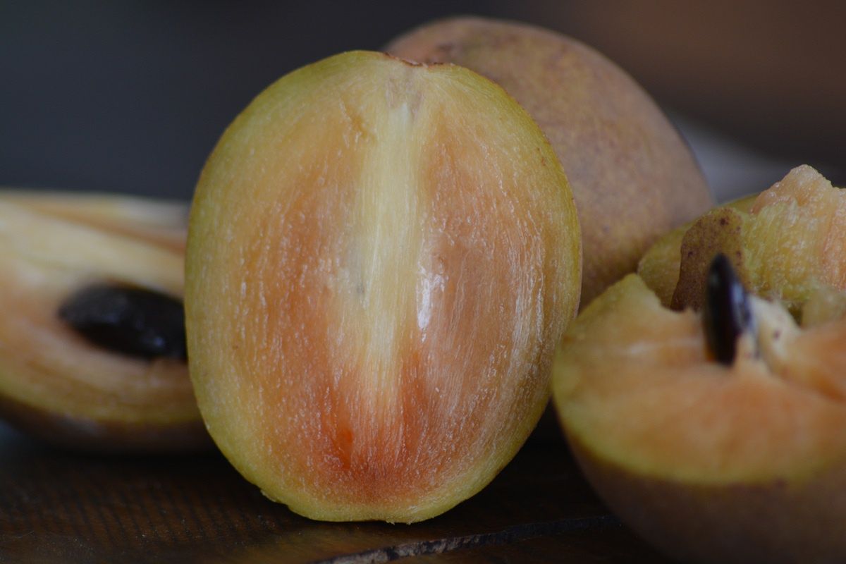 Pigwica - ten owoc smakuje jak toffu