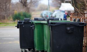 Chcą zamienić 30-letnie drzewa na śmietnik. Mieszkańcy oburzeni