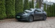 Tesla zanurkowała na najdojrzalszym rynku. Z pierwszego na 11. miejsce