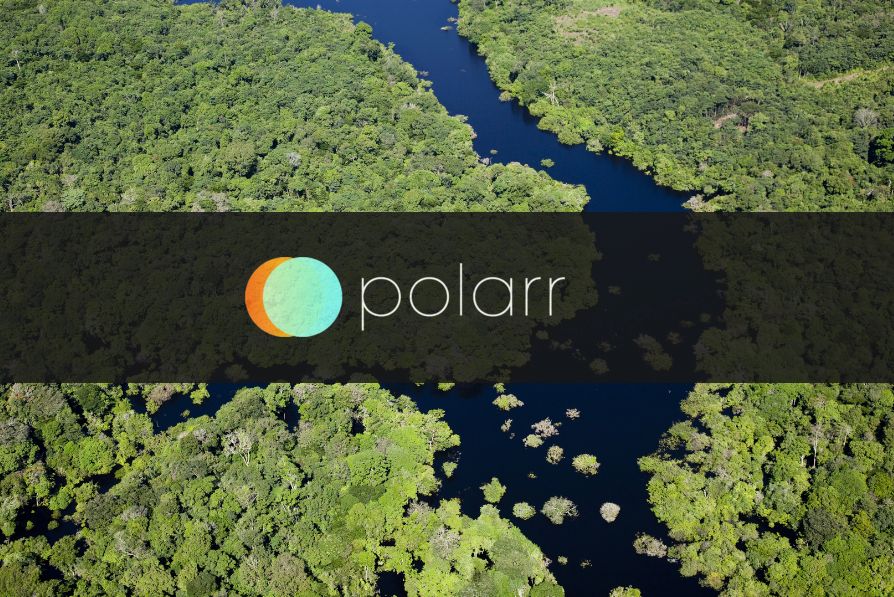 Polarr Photo Editor za 99 centów z okazji Dnia Ziemi