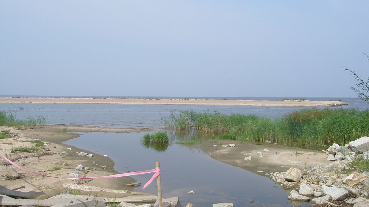 Martwy wieloryb znaleziony na plaży w rezerwacie Mewia Łacha.