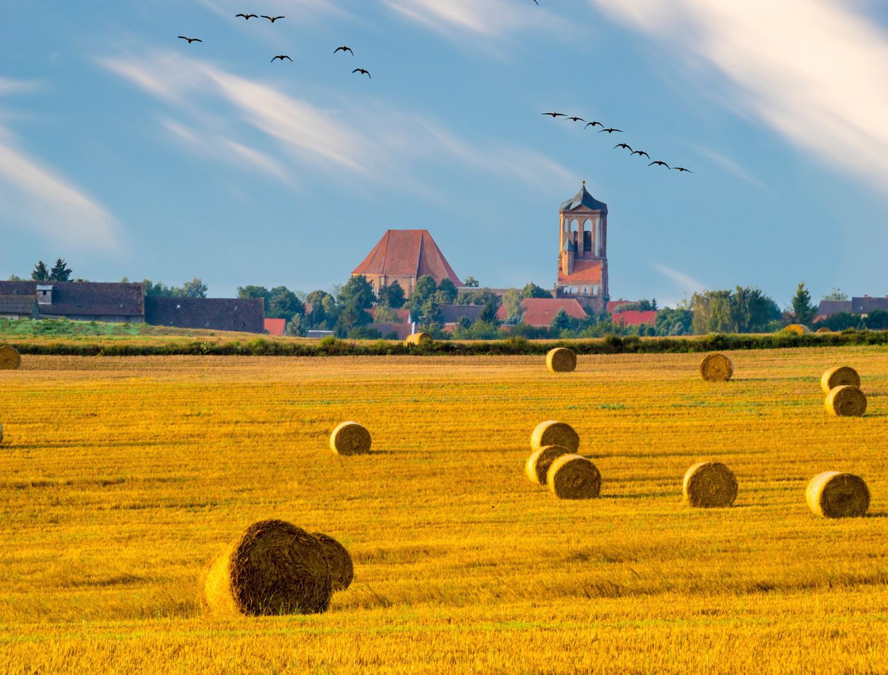 Tajemnicza śmierć żniwiarza. Ciało znaleziono po kilku dniach