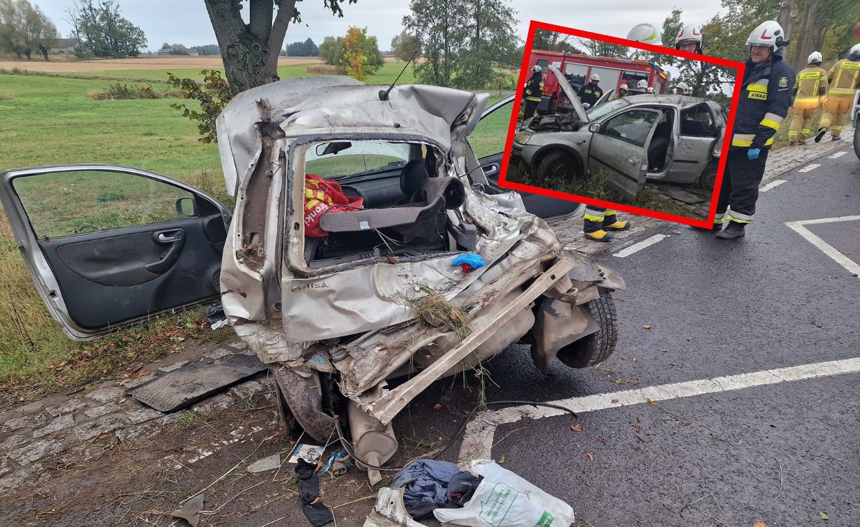 Dramat na drodze. Pijany 23-latek uderzył w drzewo