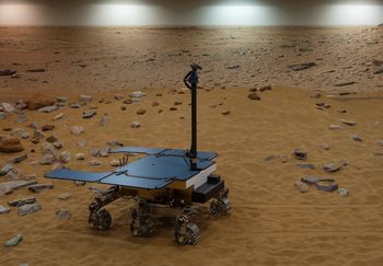 Odkrycie na Marsie. Naukowcy znaleźli związki DNA i RNA