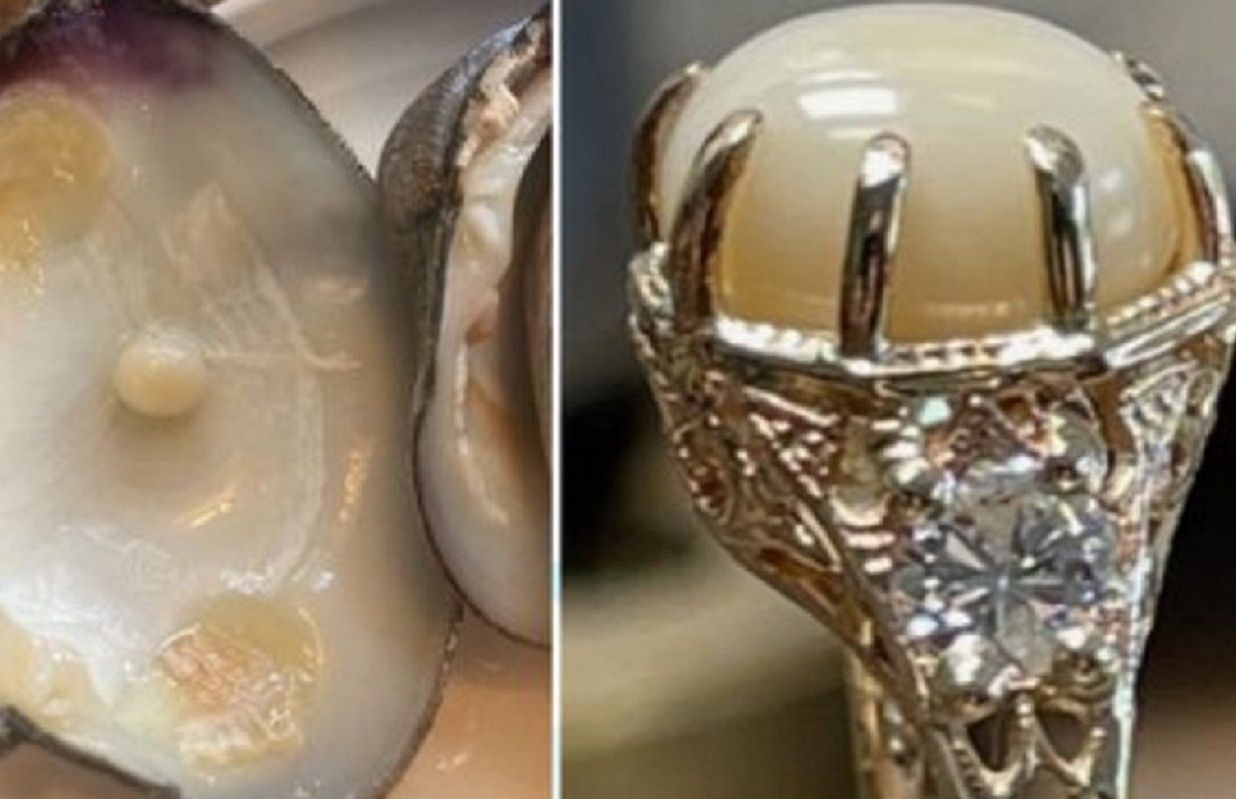 70-year-old woman discovers a rare pearl in dinner, uses it for an engagement ring