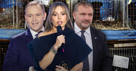 Celebrycki model polityki [OPINIA]
