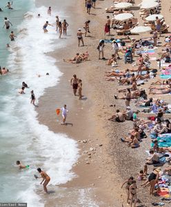 Dramatyczne chwile na plaży w Chorwacji. Żmija ukąsiła dziecko
