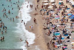 Dramatyczne chwile na plaży w Chorwacji. Żmija ukąsiła dziecko