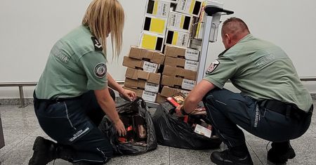 Tego się nie spodziewali. Celnicy złapali się za głowę