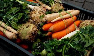 Jak dobrze znasz warzywa? Sprawdź się w krzyżówce