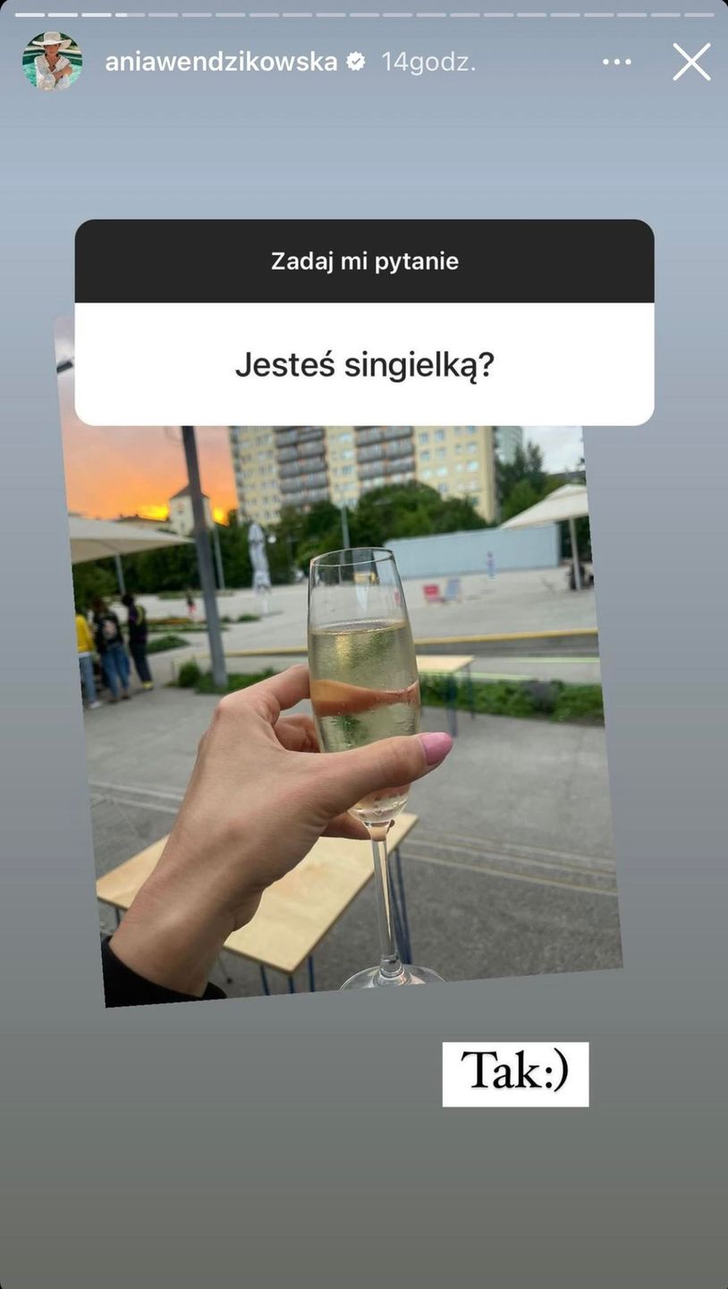 Anna Wendzikowska Instastories