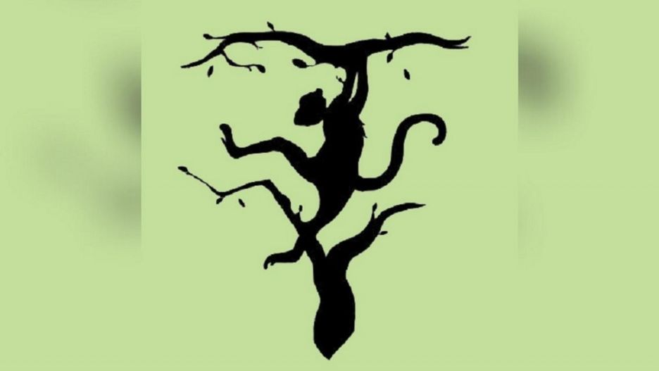 Jakie zwierzę zobaczyłeś jako pierwsze?