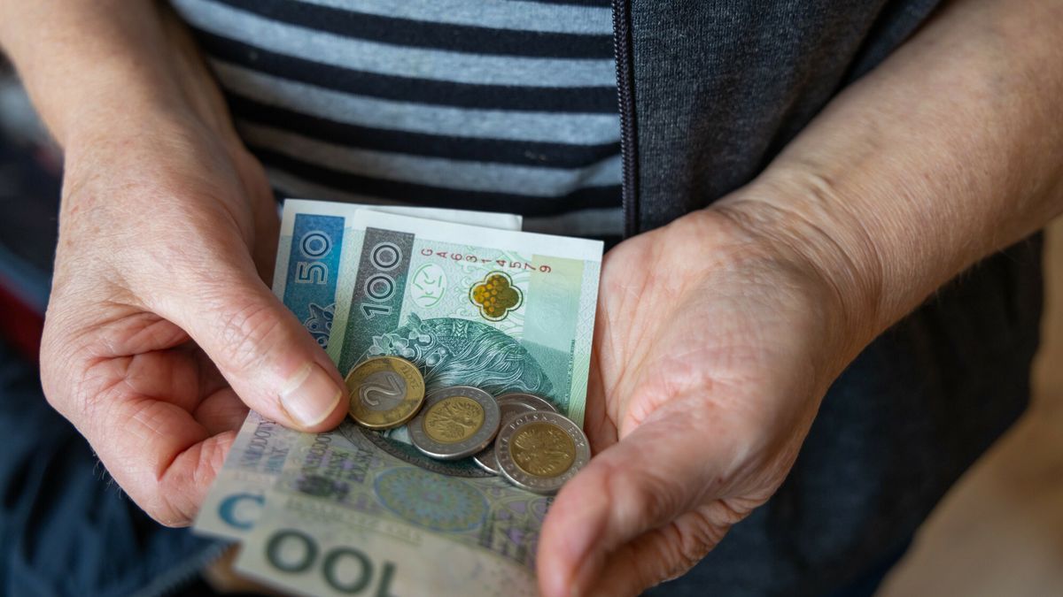 Nie powstanie Centralna Informacja Emerytalna