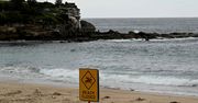 Słynna australijska plaża zamknięta. Powodem tajemnicze czarne kule