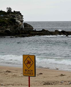 Słynna australijska plaża zamknięta. Powodem tajemnicze czarne kule