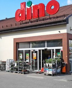 Nowe sklepy Dino. Tyle zarobią kasjerzy