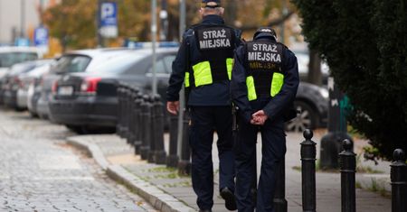 Interwencja straży miejskiej. Donos o "nielegalnej budowli" byłej radnej