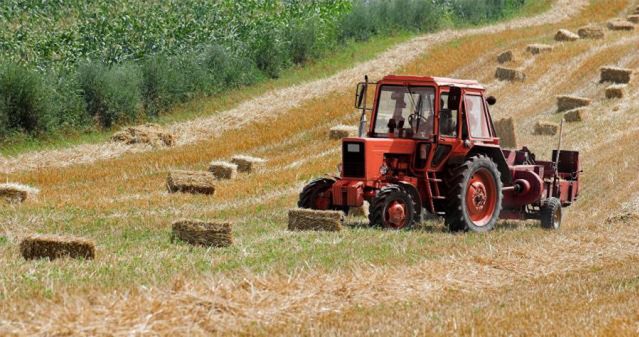 Gospodarstwo rodzinne podstawą europejskiego rolnictwa