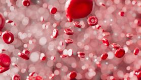 Współczesne metody leczenia hemofilii dają szansę na normalne życie