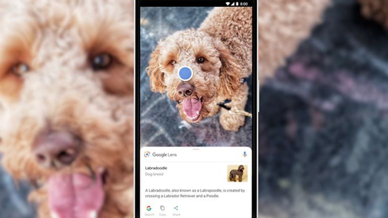 Google Lens zintegrowane z aplikacjami aparatów. Pojawiły się też nowe funkcje 1
