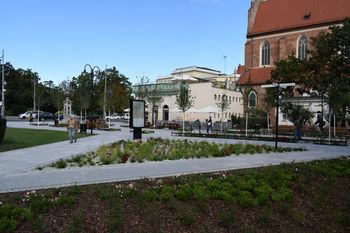 Wrocław: Betonowy plac przy pomniku Chrobrego przeszedł metamorfozę