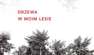 Drzewa w moim lesie