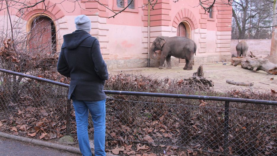 Dla mieszkańców zoo trwa najgorszy okres w roku 