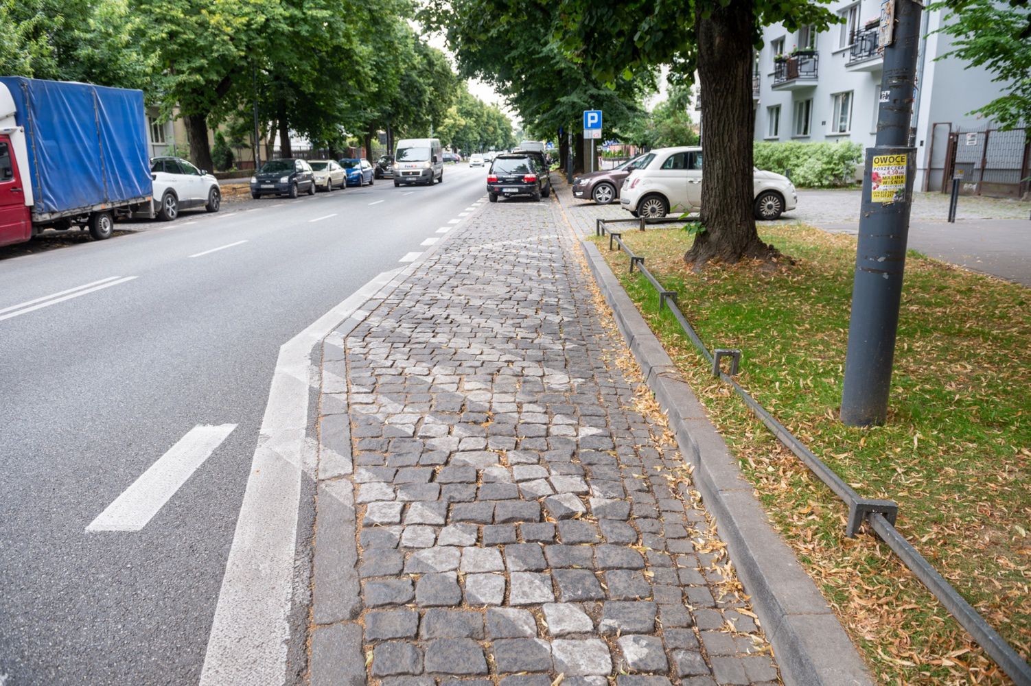 Warszawa. Zazieleni się ul. Francuska. Powstaną ogrody deszczowe