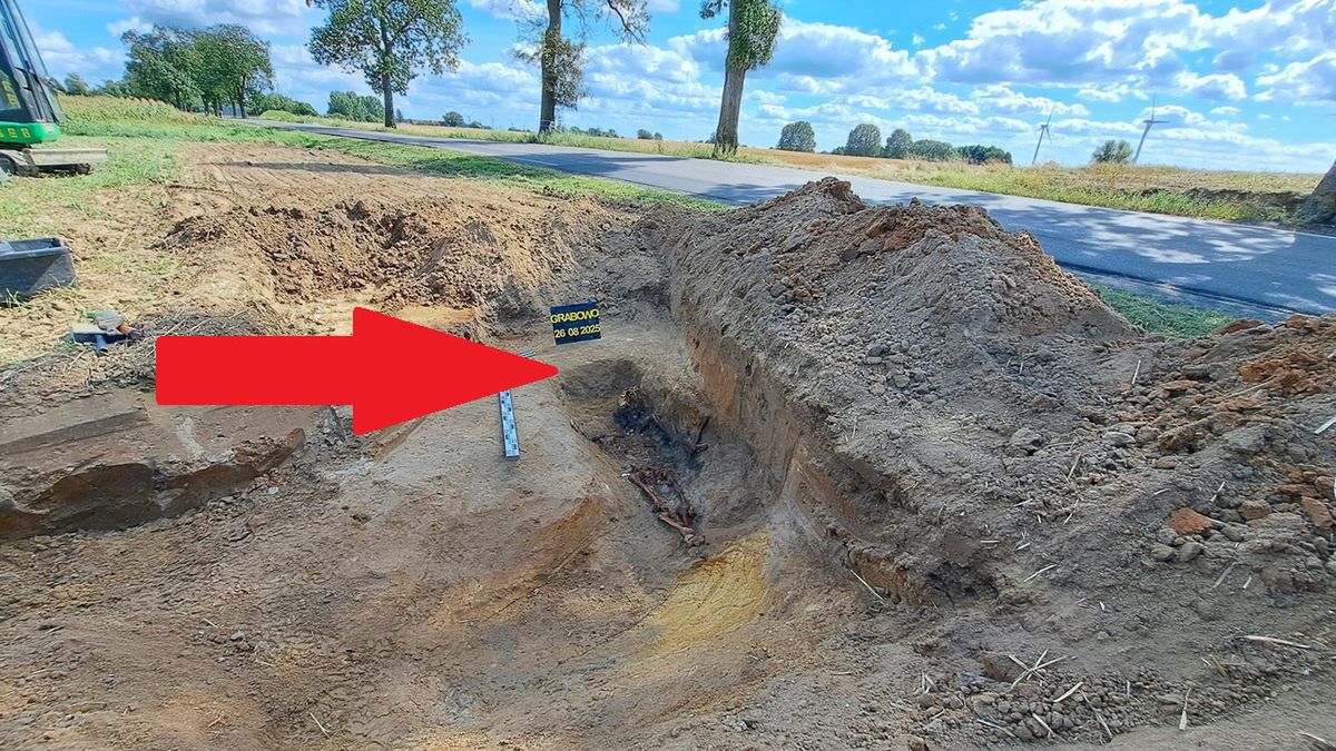 Szczątki Niemca odnaleziono w Polsce.