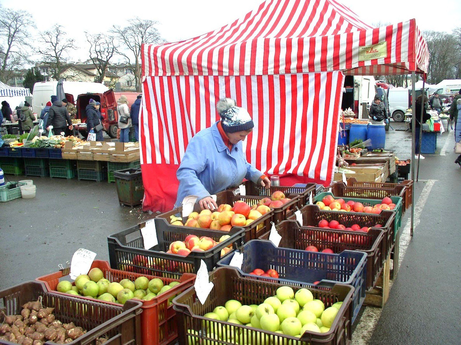 Głównym obszarem produkcji jest Mazowsze, a zwłaszcza okolice Grójca i Sandomierza, które są określane mianem &#34;zagłębia sadowniczego&#34;.