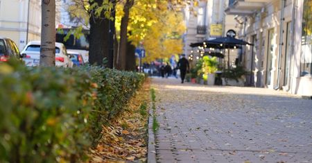 Prognoza pogody na weekend 25-27 października 2024. Mgliste noce i poranki, w dzień szansa na dużą ilość słońca