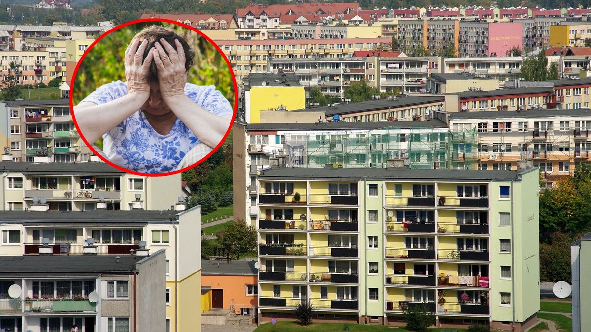 blokowisko, bloki, blok, osiedle, mieszkania, miasto, miasteczko, balkony, balkon, dzielnica, okna, osada, mieszkanie, dach, dachy, budynki