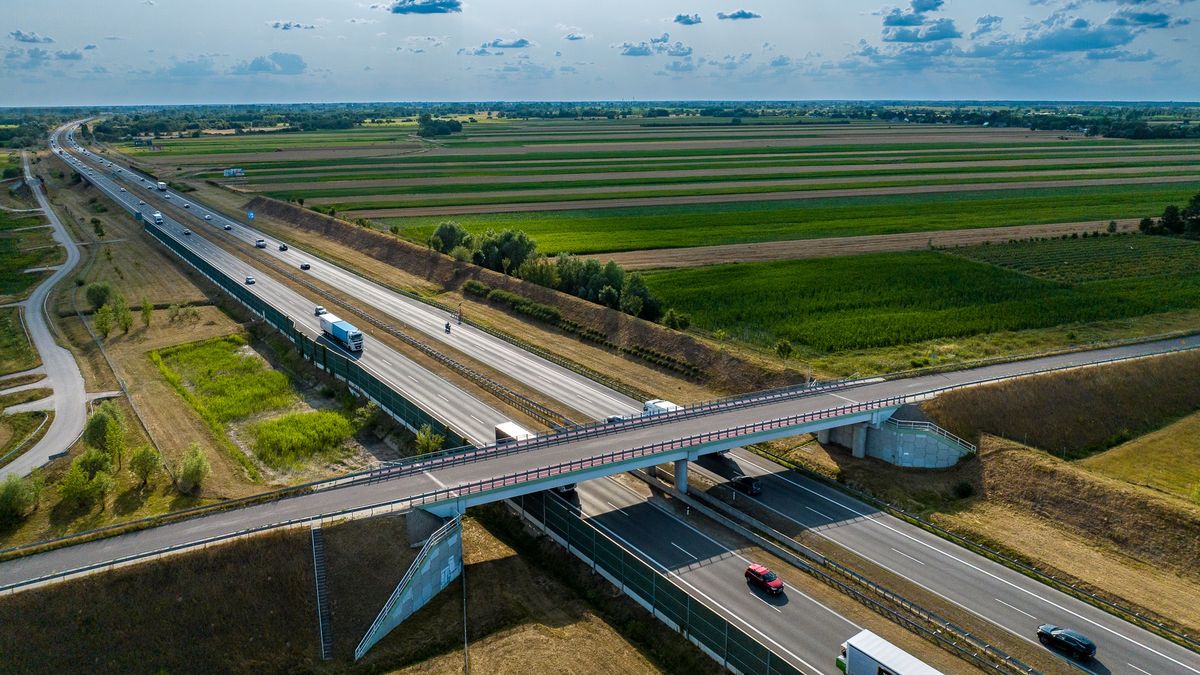 A2 granica woj. - Grodzisk Mazowiecki, okolice Izdebna Nowego
Krzysztof Nalewajko