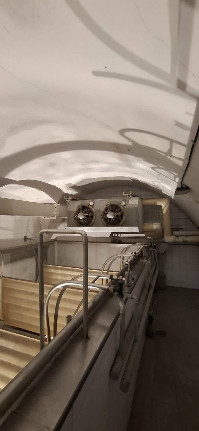 Podziemia browaru można zwiedzać